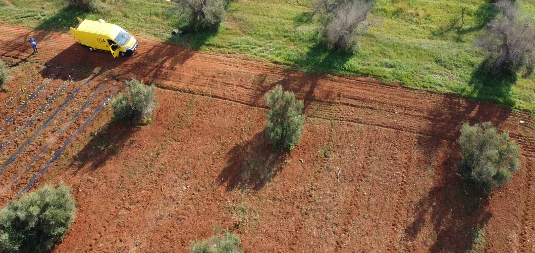 A view of the fields monitored during the flight